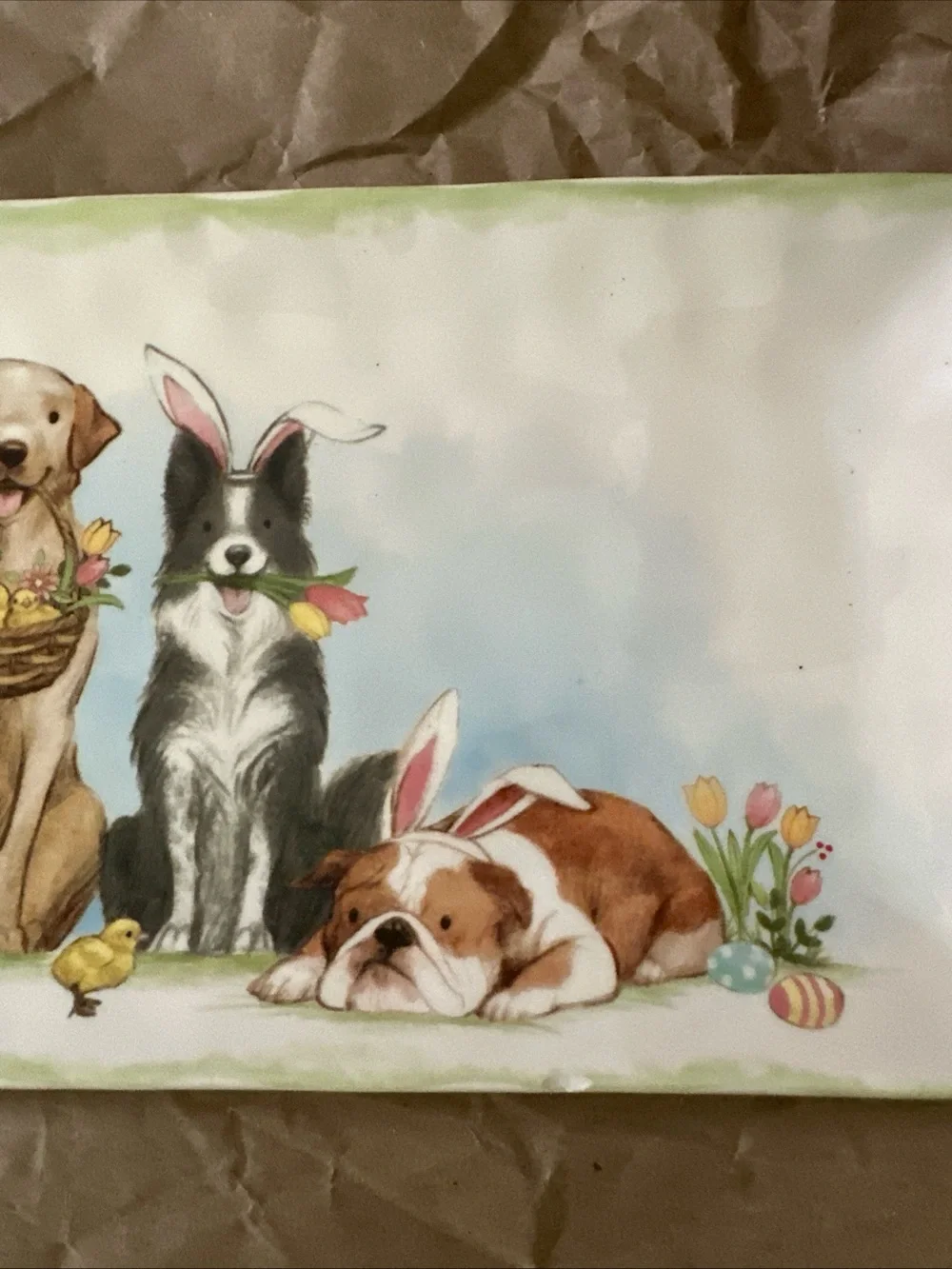 Pier 1 White Ceramic Pet Tray with Easter Puppy Illustration